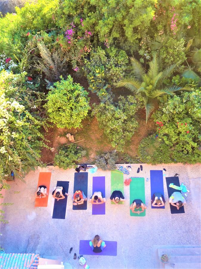 Surf & Yoga Paradise Morocco Pansiyon Tamraght Ou Fella Dış mekan fotoğraf